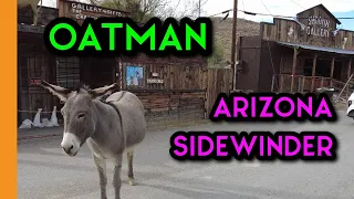 Oatman - Arizona Sidewinder (Oatman Highway)