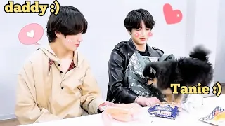 Yeontan love BTS cute Moment (tannie) | BTS love Yeontan ~ bts member with yeontan ~ V love yeontan