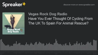 Have You Ever Thought Of Cycling From The UK To Spain For Animal Rescue?