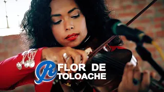 Flor de Toloache - Besos de Mezcal (Ring Road Sessions) LIVE