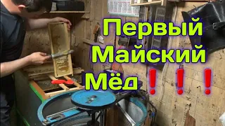 Откачка Майского Мёда,выборочно,готовим Пчелосемьи на Качёвку