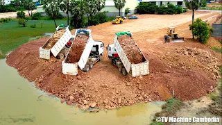 Fantastic SHACMAN DONGFENF HYUNDAI Dump Truck Team Work Unloading Soil & Dozer Pushing Into Water