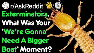 A Bug Exterminators Worst Nightmare (r/AskReddit)