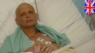 Британский суд: Путин, «вероятно», одобрил убийство Литвиненко