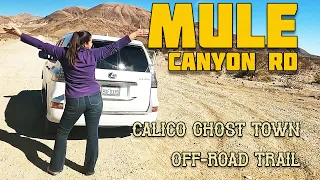 Off-Road For Wife and Kids: Mule Canyon Off-Road Trail | Calico Ghost-Town