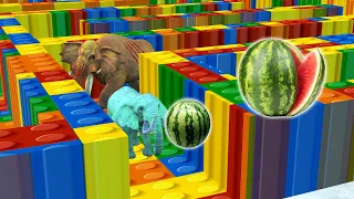 Temple Run Elephant run away from Zombie Elephant Lego Maze | 2 Woolly Mammoths Vs Zombie Elephant