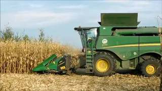 Kukorica betakarítás 2019