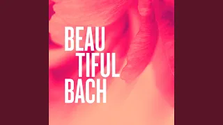 J.S. Bach: Concerto for Harpsichord, Strings, and Continuo No. 7 in G minor, BWV 1058 - 2. Andante