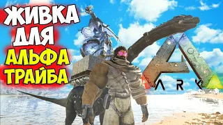 АЛЬФА ЗАСТРОЙКА БРОНТО в ARK? Зачем Морелатопс, Виверна? Ответ от АРКЕРА ДИЕГО! Хроники АРКа #13