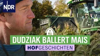 Endspurt auf den Feldern | Die Nordreportage: Hofgeschichten | NDR