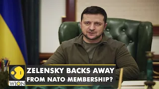 "Don't want to beg for NATO membership", says Ukrainian President Volodymyr Zelensky | World News