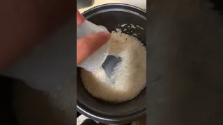 ASMR Cook rice the right way