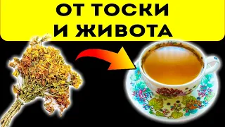 Стальной желудок, стальные нервы! Даже слабый настой зверобоя запускает во всех органах…