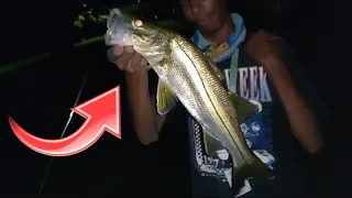 Catching Freshwater Snook at Night on Savage Gear Pulse Tail Mullet !! *FISHING IN FLORIDA*