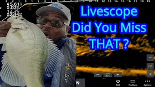 See Crappie On Livescope That Most Pass Over - Livescope Crappie Fishing