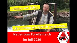 Graureiher erfolgreich vergrämen | 🐟 Forellenteich im Juli 2020 🐟 | Reiherschreck selber bauen