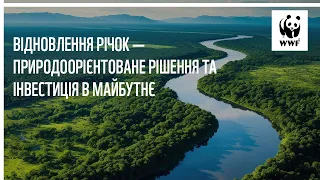 Відновлення річок — природоорієнтоване рішення та інвестиція в майбутнє