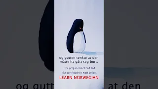 NORWEGIAN FOR BEGINNERS ➡ The sad penguin