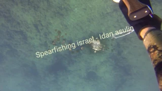 Spearfishing israel - 05/01/17