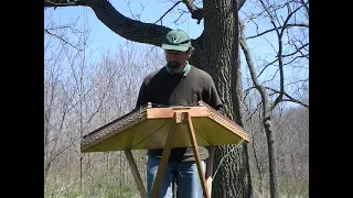 Dulcimer Magic