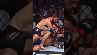 khabib vs poirier حبيب ضد بواريي#ufc #mma #best #shorts