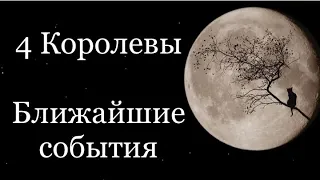 4 Королевы. Ближайшие события. Таро расклад /онлайн расклады