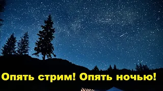 Опять стрим! Опять ночью!