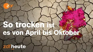 So heftig war die Dürre in Deutschland: Entwicklung im Zeitraffer | #shorts