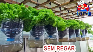 🥬Horta SUSPENSA de ALFACE SEM REGAR🥗 MUITA PRODUTIVIDADE