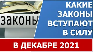 Новые законы в ДЕКАБРЕ 2021 года