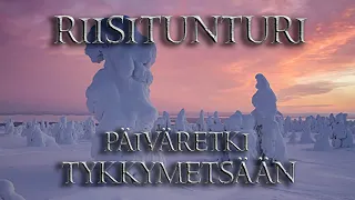 Riisitunturin Tykyt | Retki 2022 Lappi