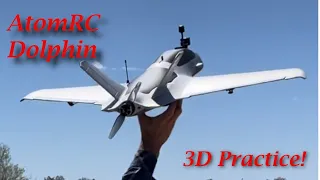 Dolphin 3D flight improvement