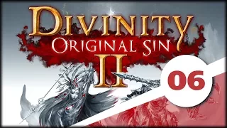 Divinity: Original Sin II (06) Dzień po dniu