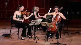 Cortona Trio plays Schubert - Piano Trio No. 1 in B-flat major, D. 898  I. Allegro moderato