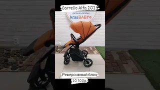 Прогулочная коляска с реверсивным блоком Carrello Alfa 2023 # carrello #alfa2023 #krasbaby