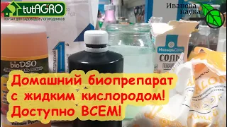 ВЫРАЩИВАЕМ ДОМАШНИЕ БИОПРЕПАРАТЫ. Очень простой способ с перекисью водорода. Доступно всем!