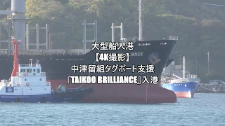 大型船入港【4K撮影】中津留組タグボート支援『TAIKOO BRILLIANCE』入港