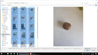 Neural Progressive Web Application RAD Studio 0.2a demonstration