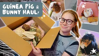 Guinea Pig & Bunny Small Business Haul 🌟