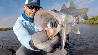 3 Tips To Set The Hook When Fishing With Big PADDLETAILS