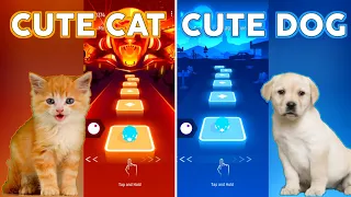 Imagine Dragons - Enemy: Cat vs Dog | Tiles Hop EDM Rush