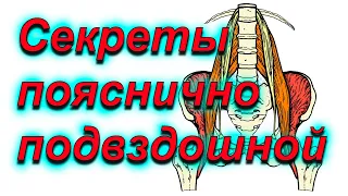 Секреты пояснично подвздошной мышцы.Развенчание мифов.