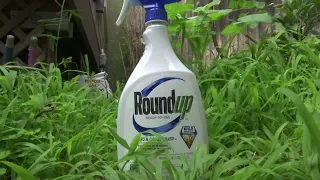 Monsanto ordered to pay $2bn to couple in new Roundup trial