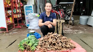 Ginger Growing Process | Harvest Ginger & Vegetable Garden Goes to the market sell | Ly Thi Tam