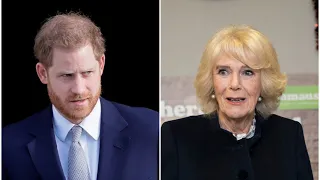 Prince Harry is 'absolutely scathing' in his 'personal attacks' of Camilla