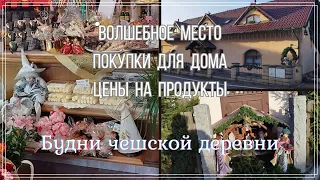 #9 Волшебное кафе / Распаковка посылок / Будни чешской деревни #чехия #распаковка #ценынапродукты