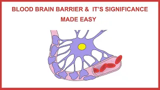 BLOOD BRAIN BARRIER & IT'S SIGNIFICANCE MADE EASY