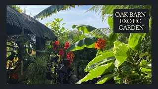 A walking Talking Tour of the Mesmerizing Oak Barn Exotic Garden.