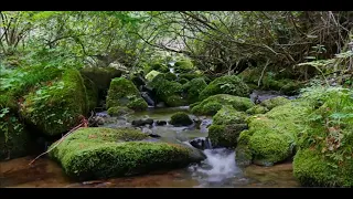 편안한 피아노 음악 • 수면 음악, 물소리, 편안한 음악, 명상 음악,휴식과 수면음악 나에게 힐링의 시간