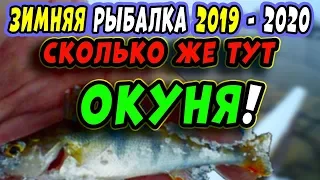 Зимняя Рыбалка 2019 - 2020  Ловля ОКУНЯ НА МОРМЫШКУ зимой.